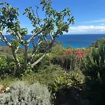 Avec Vue Exceptionnelle A Palombaggia 度假居 *