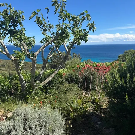Avec Vue Exceptionnelle à Palombaggia Casa vacanze *