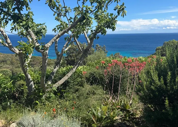 Maison Vue Palombaggia Tatil Evi *